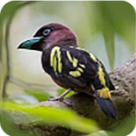 WWW,97seba·COM网站APPAPP应用