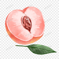 ✪好色先生官方版官方版APP应用