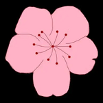 WWW,se989·COM网站APPAPP应用