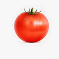 黄色视频在线免费观看下载官方版图片